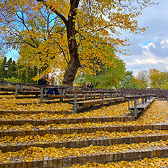 People sitting on benches in the Fall. Links to Tangible Personal Property