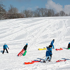 People sledding on a hill. Links to Gifts by Will